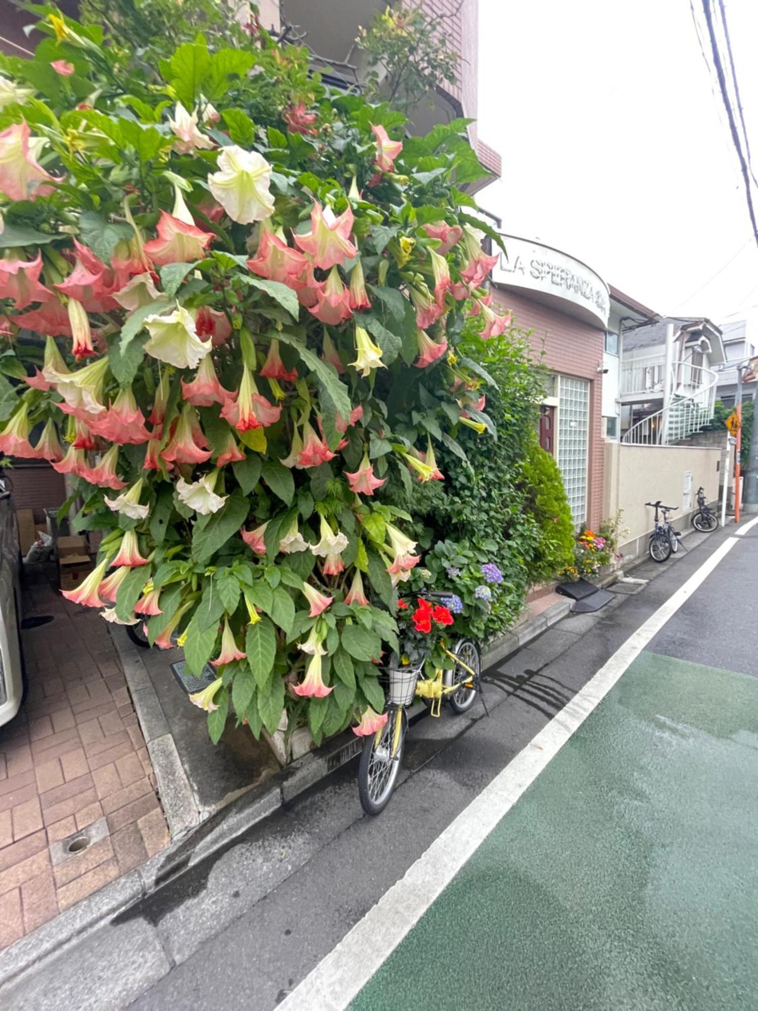新宿庭院の屋-Shinjuku Garden Home -28 Square Meters King Size Bed Garden Room Tokio Exterior foto
